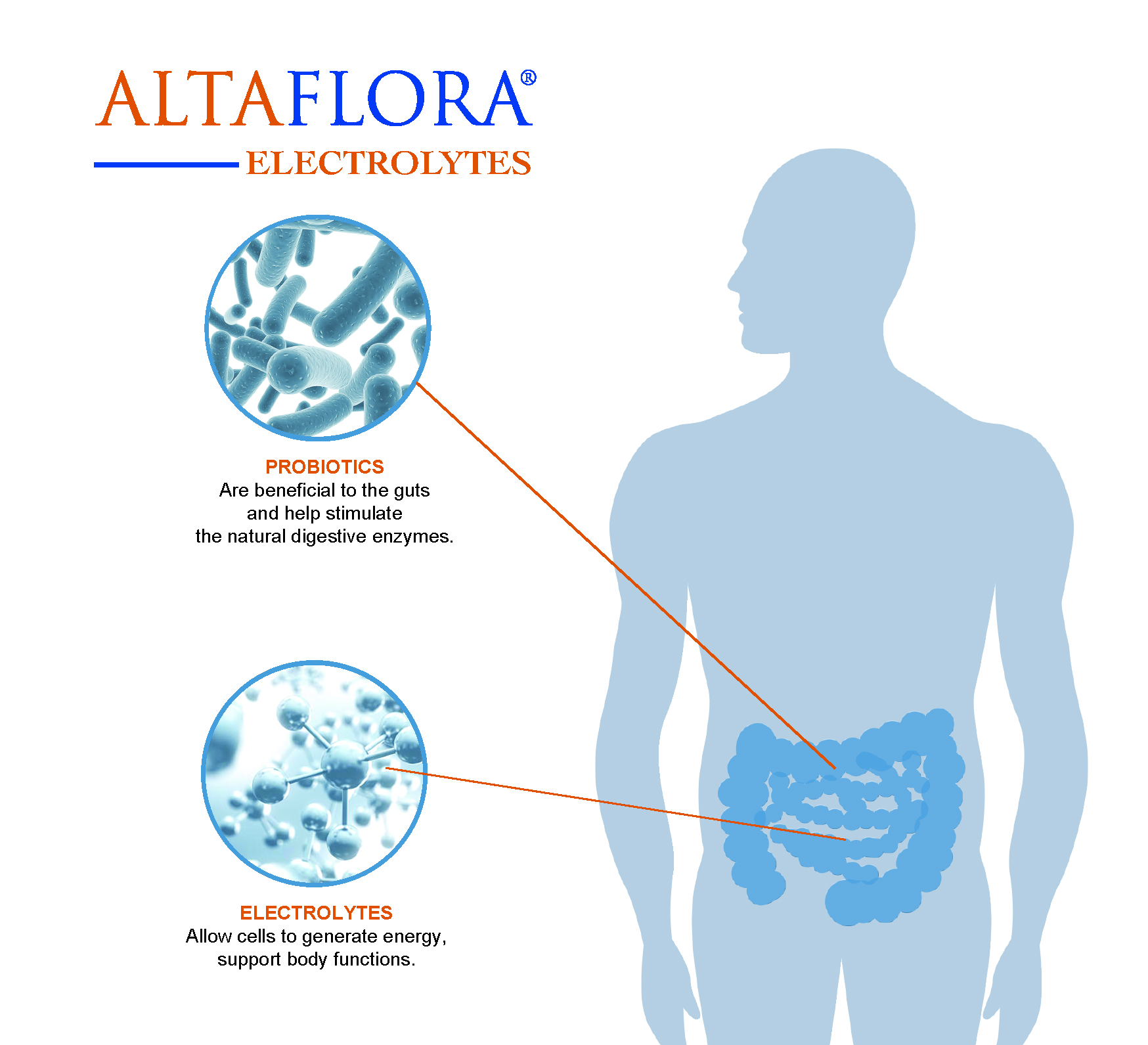 Altaflora Capsules Detail